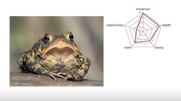 Automated Aesthetic Analysis of Photographic Images (TVCG 2014)