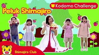 Shimajiro | Pendidikan Anak | Bernyanyi Lagu 'Peluk Shimajiro' - Kodomo Challenge