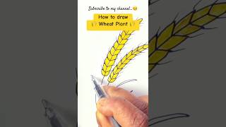 Wheat Drawing 🌾 #trending #drawing #viral #art #easydrawing #howtodraw #shortvideo #shorts #short