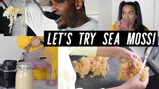 Hey everyone, jade & mark here! we are sharing our first time trying
sea moss! if you've never heard of it before, is a superfood from the
:) ours ...