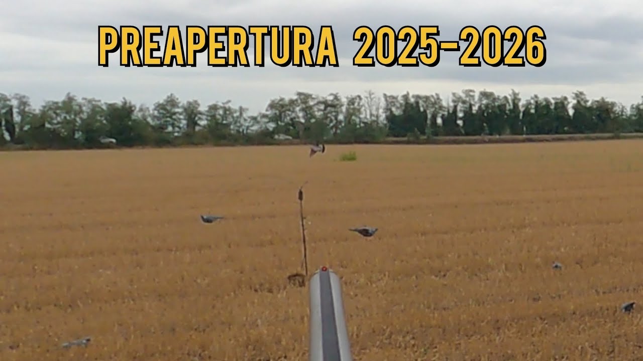 PRIMO giorno di PREAPERTURA stagione 2025-2026 - caccia al COLOMBACCIO da campo
