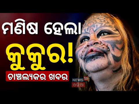 ବଦଳିଗଲା ଜାପାନୀ ଯୁବକଙ୍କ ରୂପ! Truth Exposed! Did a Japanese Man Spend 220 Crore to Become a Dog? N18V