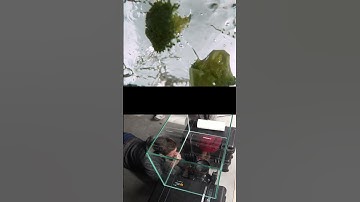 1000fps super slow mo food #camerarig #cinematography #slowmotion #1000fps