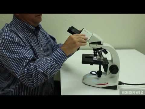 DM300 Educational Compound Microscope - Rotating "Viewing Tube" Feature