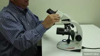 DM300 Educational Compound Microscope - Rotating "Viewing Tube" Feature