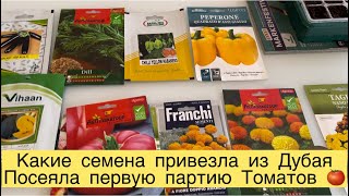 КАКИЕ СЕМЕНА ПРИВЕЗЛА ИЗ ДУБАЯ 😉 ПОСЕЯЛА ТОМАТЫ 🍅