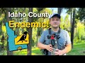 This Bird Can ONLY Be Found In A Single County In Idaho This Bird Can ONLY Be Found In A Single County In Idaho