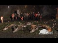 Driven hunt in Poland 2019 / Chasse battue en Pologne 2019 (prohunt.eu)