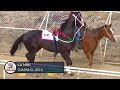 Hit #5 Futurity Lagos Carril San Angel El Chillón Cuadra Vivoro vs La Niki Cuadra El Cielo