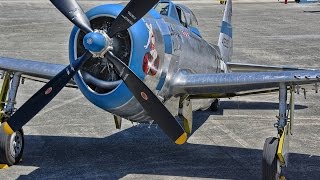 THUNDERBOLT - P-47D