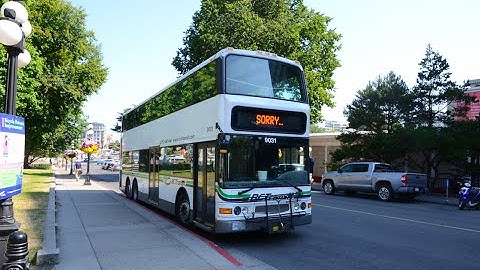 BC Transit (Victoria): 2002 Dennis/Transbus: Trident: 9031