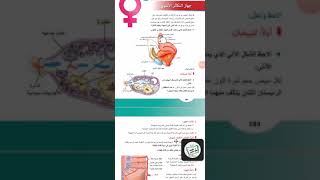 الجهاز التكاثري الأنثوي الجزء الأول الطريق نحو ال300 علامة