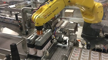 Econocorp Tray Former & Case Packer integrated with Pick and Place Robot