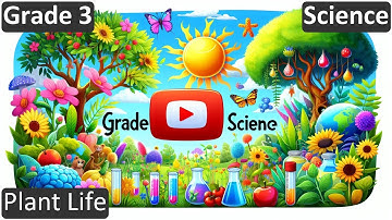 Grade 3 | Science | Plant Life | Free Tutorial | CBSE | ICSE | State Board