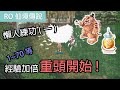 RO仙境傳說|懶人練功法1~70等(一)|三轉前絕不親自動手!
