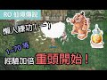 RO仙境傳說｜懶人練功法1~70等(一)｜三轉前絕不親自動手!