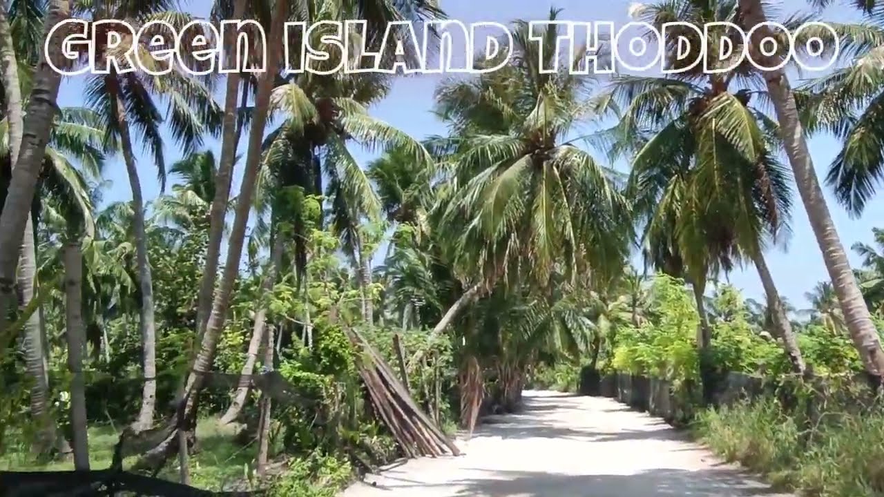 Green island  Thoddoo,  Maldives