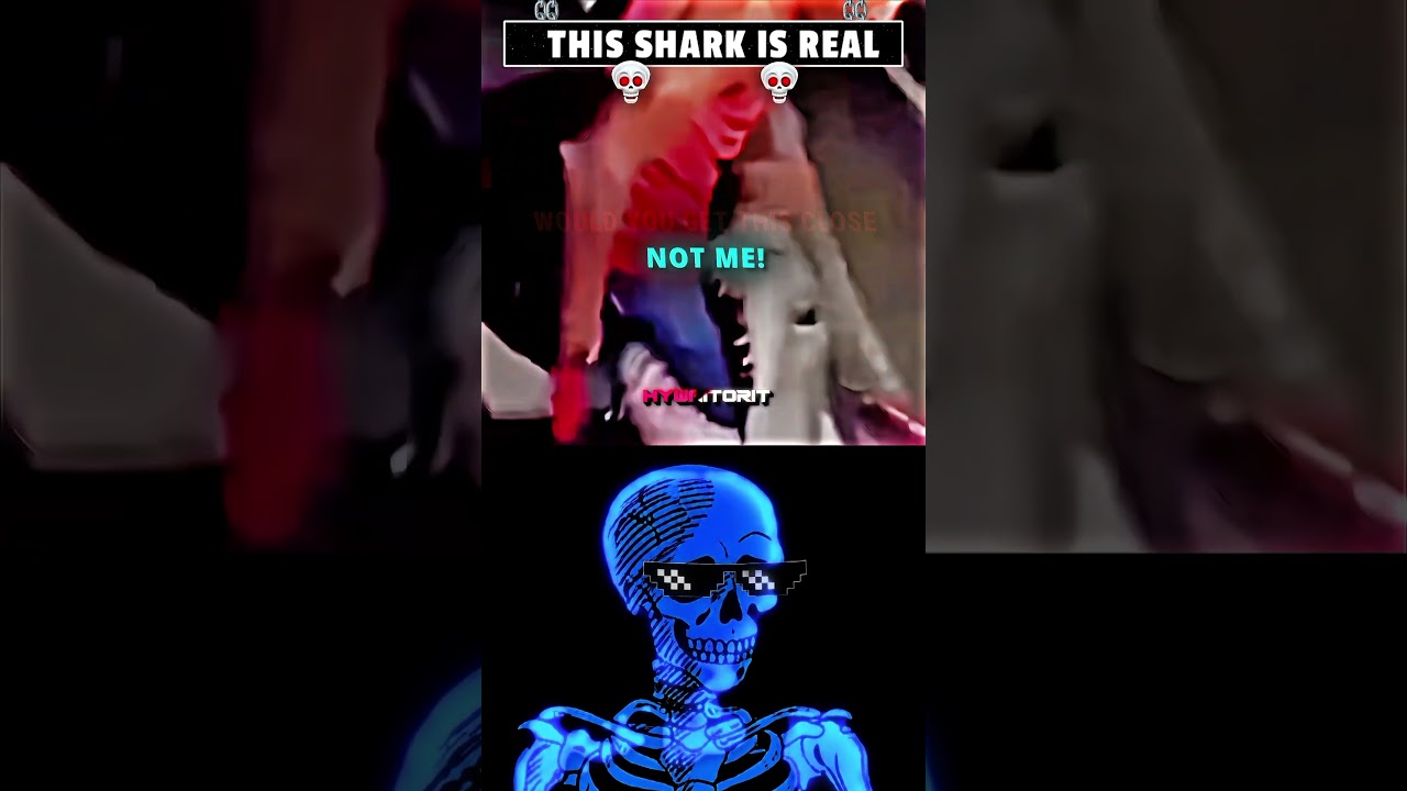 😱 HE HELD A SHARK WITH HIS BARE HANDS! 🦈