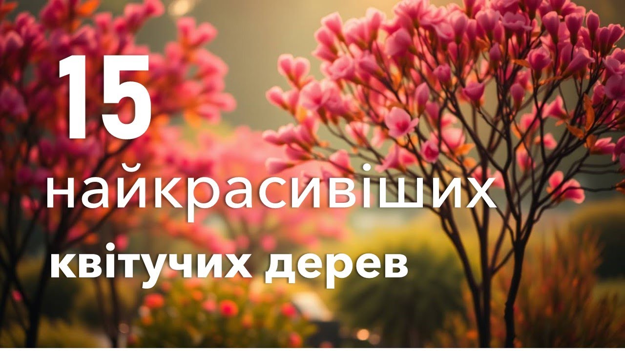 15 найкрасивіших квітучих дерев.