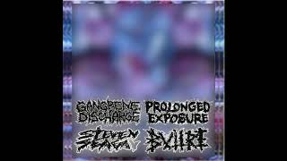 Gangrene Discharge / Prolonged Exposure / Steven Seagal / Buitre - 4 Ways Split (full split)
