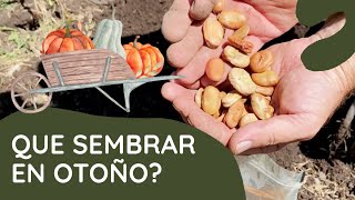Que sembrar en Otoño | Mis consejos y tips para sembrar | Huerta de Tierra Generosa