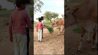 Cow  Love  Motivational Video #shorts #trending #youtubeshorts #cow