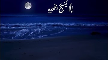 ﴿ تُسَبِّحُ لَهُ السَّمَاوَاتُ السَّبْعُ وَالْأَرْضُ وَمَن فِيهِنَّ ۚ ﴾ القارئ هيثم الدخين