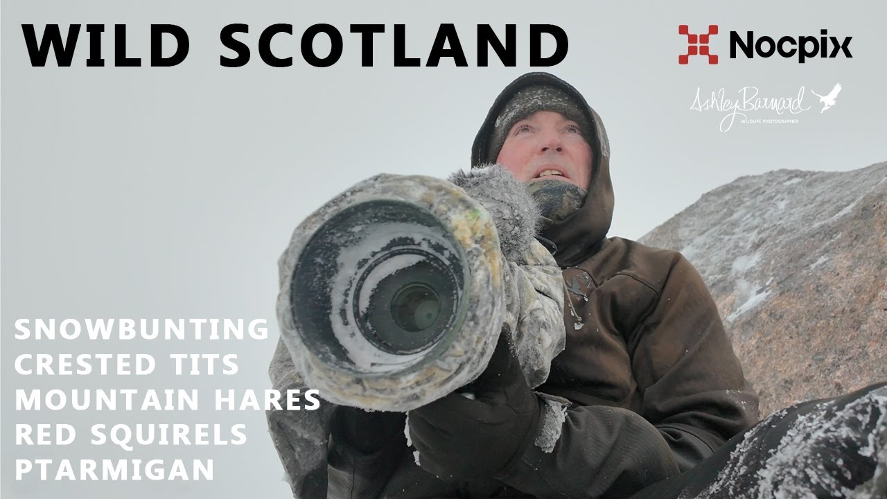 В Белые земли: пять дней охоты на призраков в высокогорье