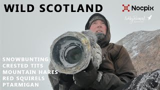 Into the White: Five Days Hunting Ghosts in the Highlands screenshot 4