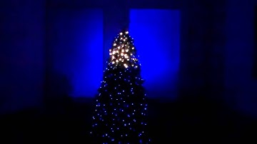 TSO Christmas Tree - Sarajevo