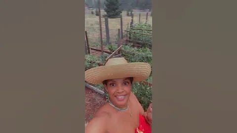 BFree Organics farm in Mount Shasta, California w/...
