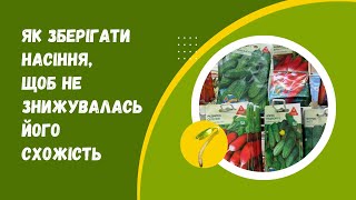 Як зберігати насіння, щоб не знизити його схожість