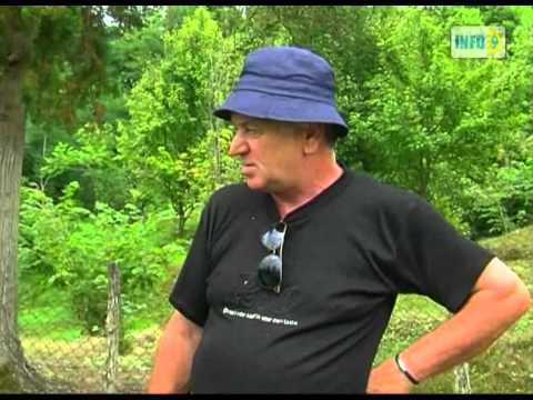 „არც სინათლე, არც წყალი, არც გზა\"