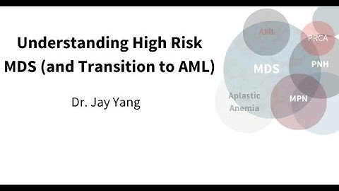 Understanding Higher Risk MDS and Transtion to AML