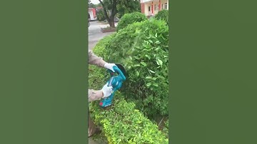 Hướng dẫn cắt tỉa cây cảnh bằng máy cắt tỉa pin/0358775577 #total #Máy_cắt_tỉa_hàng_rào