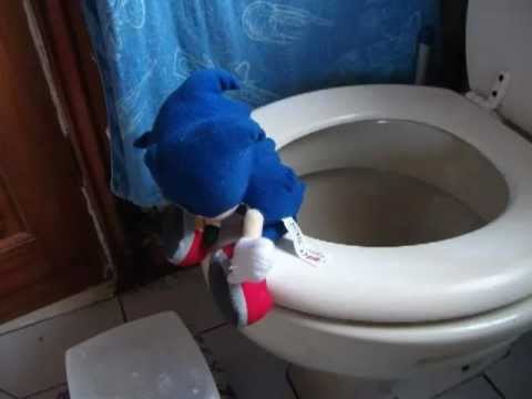 Sonic the Hedgehog poops on the toilet after eating too many chilli dogs. 