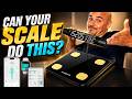 Body Fat Scale Review | RunStar Body Composition Bluetooth Smart Scale