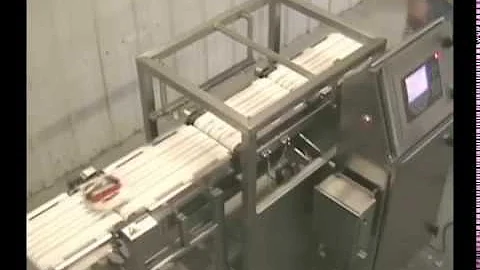 In Motion Cheese Checkweigher by WeighMore®