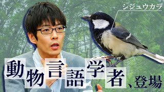 世界的に大注目の「動物言語学者」登場。鳥の言葉が分かるらしい。#246