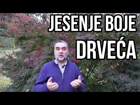 Video: Cvjetnjak U Jesen