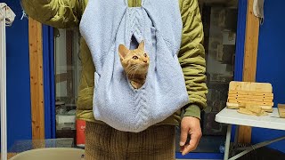 Knee cat, for the shoulder cat cat I made a kangaroo pocket for true education.