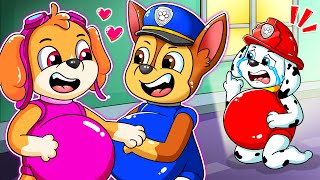 Paw Patrol The Mighty Movie - Brewing Cute Baby Factory! Skye & Chase is Pregnant - Rainbow 3