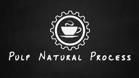 Coffee Processing Explained: What is a Pulped Natural / Honey Process Coffee? | Hasbean