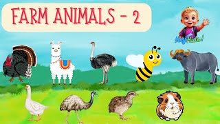 : HeyKids! Farm Animal for Kids - Part 2 | Learn About Ostrich, Guinea pig and More! #farmanimals