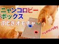 ニャンコロビー ボックスタイプの爪とぎオモチャで遊ばせてみました！ mju: nyancroby box [4K]
