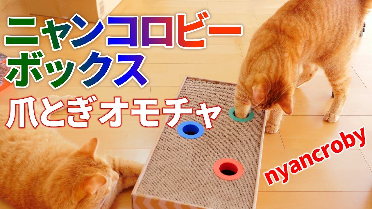 ニャンコロビー ボックスタイプの爪とぎオモチャで遊ばせてみました
