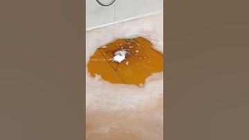 Bột thông cống 6