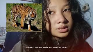 20. MARIA BIANCA ANJANI ISNUGRAHA | REPORT TEXT | SUMATRAN TIGER