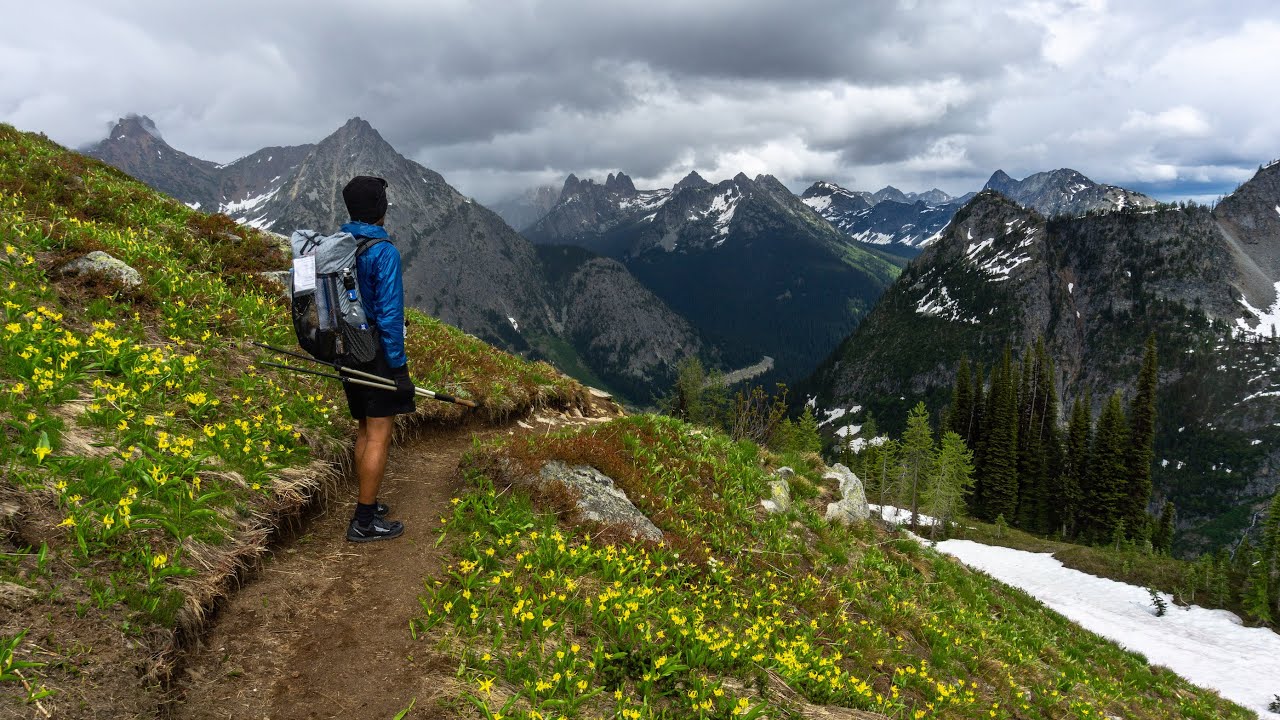 handbolsa colors 2022