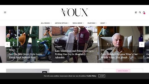 The Voux - A Comprehensive Magazine WordPress Theme | News Magazine Website Theme